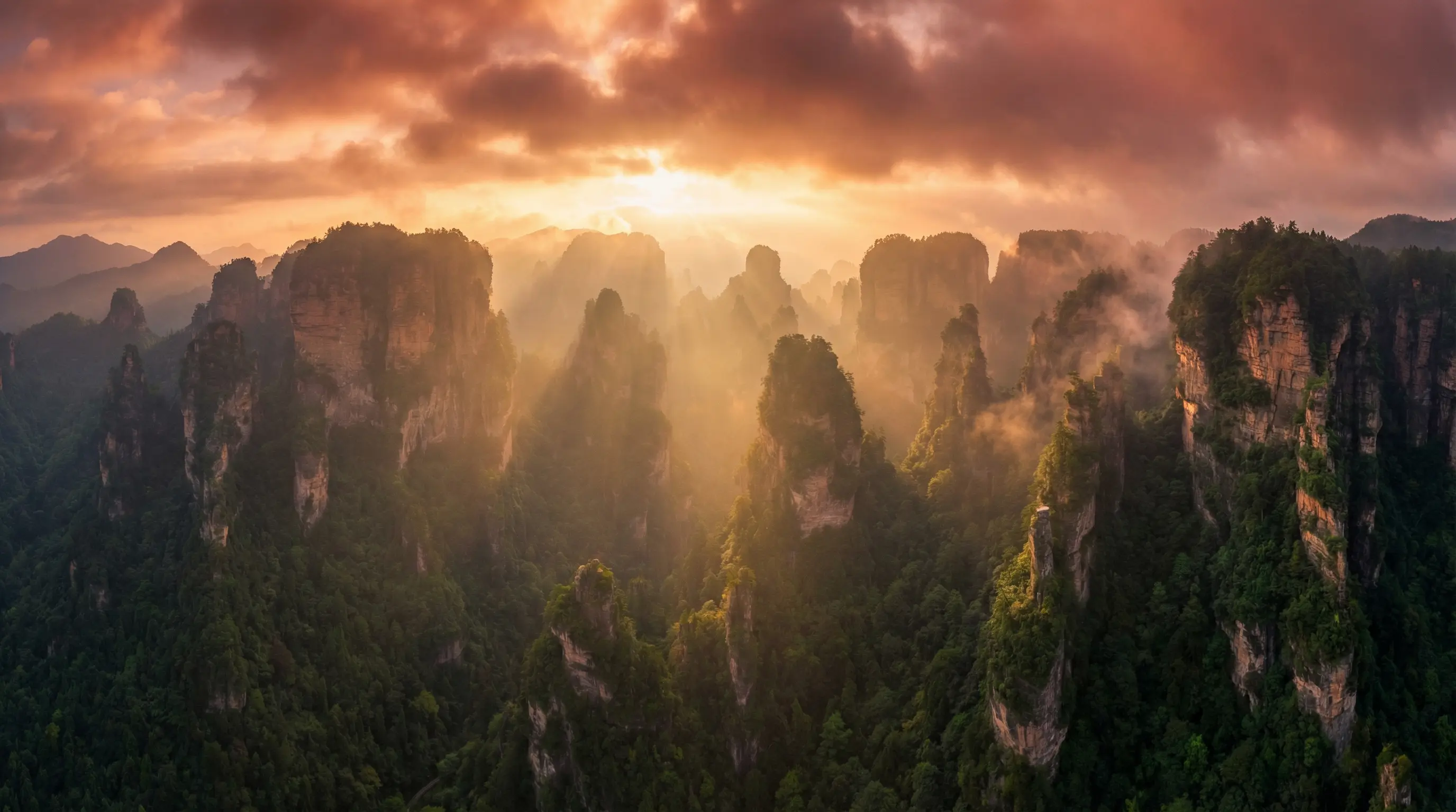 不忠者 自然风光视频封面